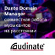    Dante Domain Manager       .