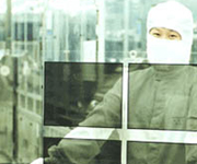 LG.Philips      LCD-