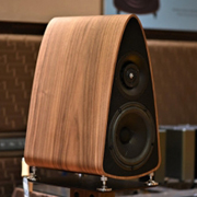 Divini Audio Reference 8      High End 