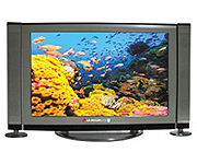   LG.Philips LCD     6G-