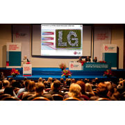 LG Electronics               IV    