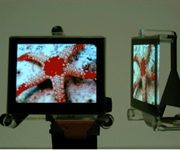 OLED- SK Display   
