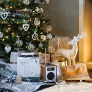 Ruark  