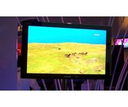 Seiko Epson   OLED      2012 