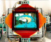    LCD  50%?