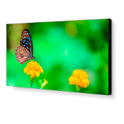    NEC MultiSync UN492VS:   ,      