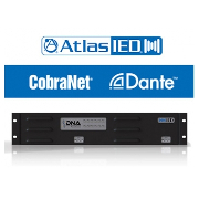  DNA  100  