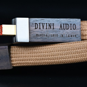 Divini Audio Logos – совершенство, которое вдохновляет