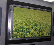 LCD-производители Тайваня. Июнь 2005г