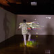  ViewSonic Corp.      -  -        - Women's Art Festival 2022 .