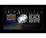 SI Screens Black Diamond