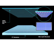 Time Multiplexed Optical Shutter