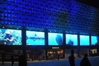 Светодиодный медиакомплекс из 9-ти видеоэкранов ЕКТА для нового киевского ТРЦ Ocean Plaza