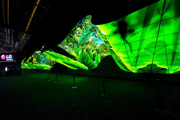LG представила инсталляции из OLED-экранов «Волна» и «Фонтан» на выставке CES-2020