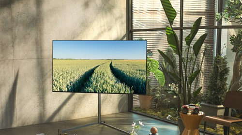 Экологичная аудио-видео техника: телевизоры LG OLED и саундбары LG 