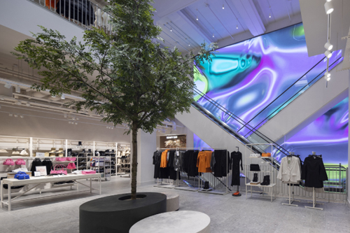    LED-  Leyard    H&M  